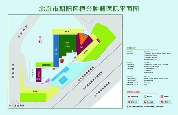 操逼视频细节北京市朝阳区桓兴肿瘤医院平面图